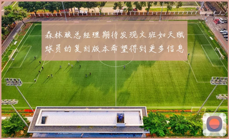 森林狼总经理期待发现文班如天赋球员的复刻版本希望得到更多信息